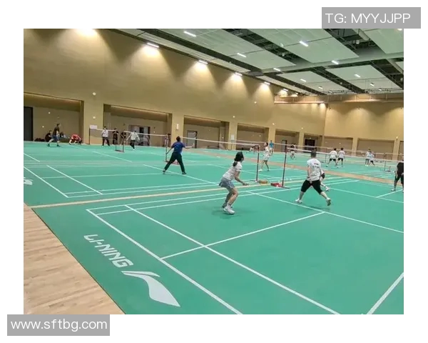 深圳羽毛球队的包夹战术揭秘与深度分析