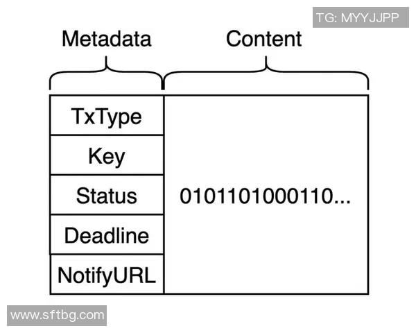 南京排球队整体压制战术解析与实践探讨