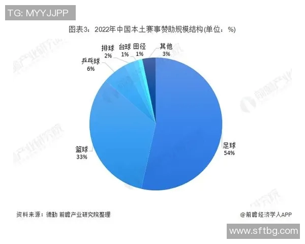 国内男足足球明星的崛起与未来发展趋势分析