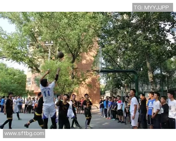 广州篮球队的拼搏历程与冠军赛背后的故事揭秘